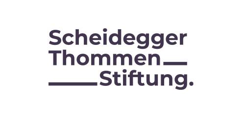 Weblogo Scheidegger Thommen Stiftung
